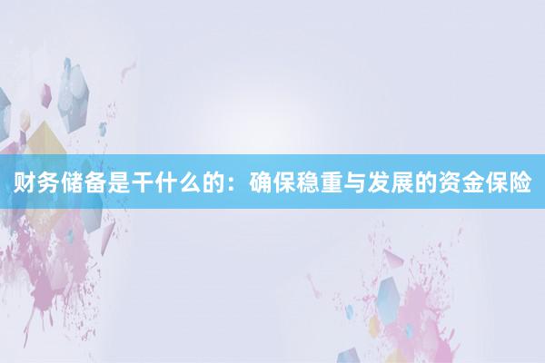 财务储备是干什么的：确保稳重与发展的资金保险