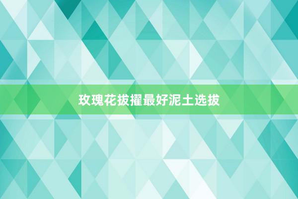玫瑰花拔擢最好泥土选拔
