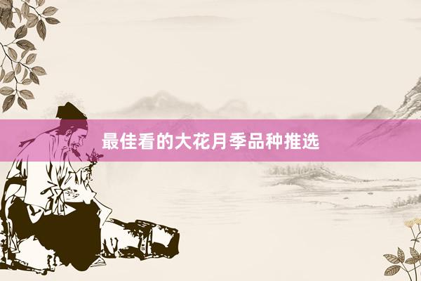 最佳看的大花月季品种推选